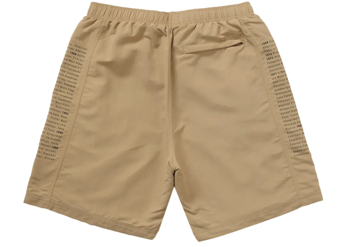 Мужские шорты с принтом Supreme The North Face Short, Khaki — фото 3