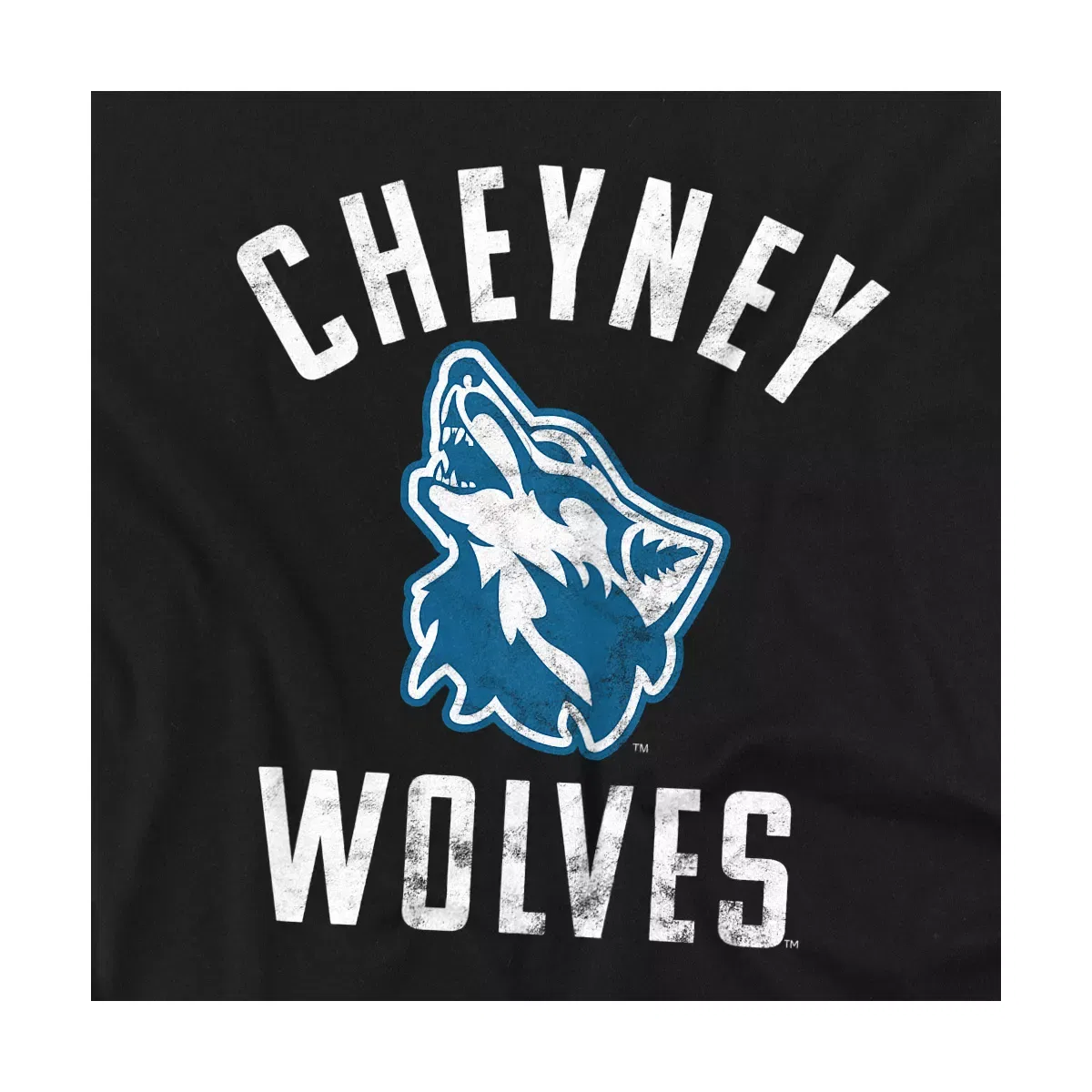 Детский боди-комбинезон с коротким рукавом NCAA Cheyney University Of Pennsylvania, Black — фото 2