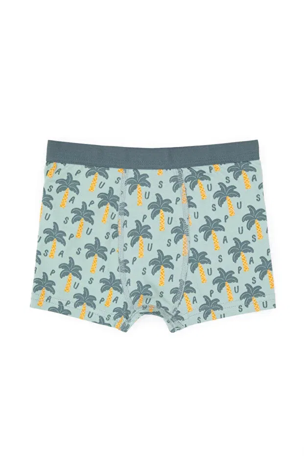 Детский комплект боксеров для мальчиков 3 предмета U.S. Polo Assn., Water Green — фото 3