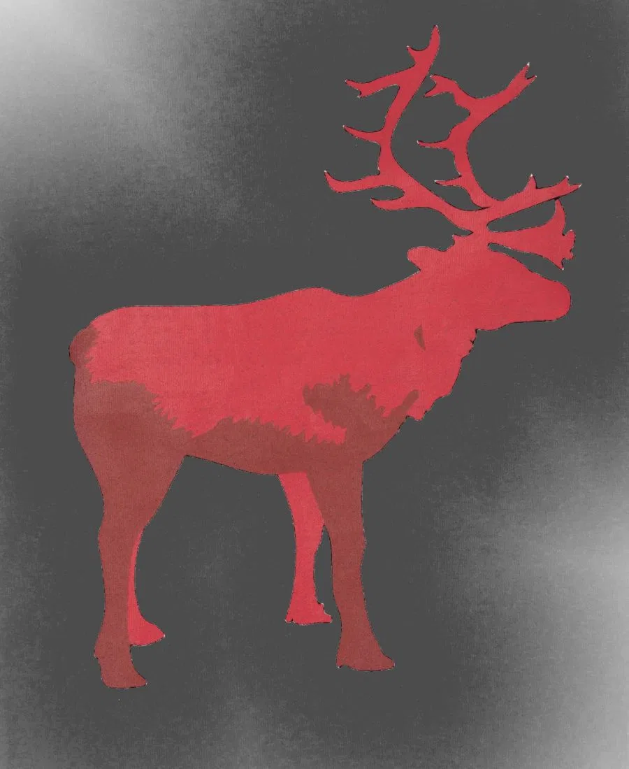 Комплект пижам с хлопковым топом и флисовыми штанами, с принтом Reindeer Leveret, Reindeer Black & White Plaid — фото 2