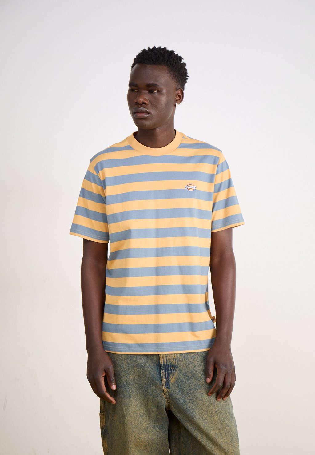 

Футболка с принтом RIVERGROVE TEE Dickies, темно-зеленый