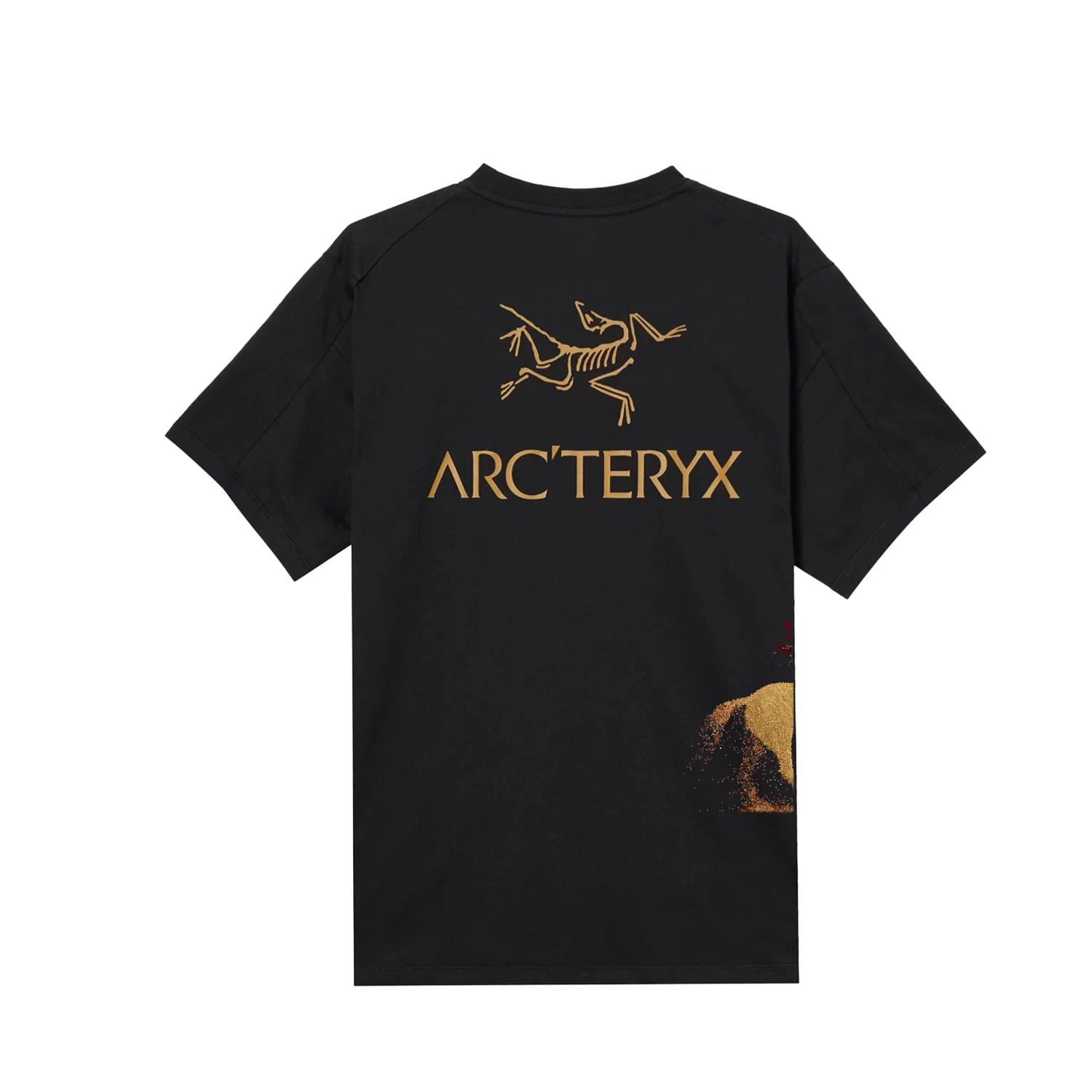 Футболка с круглым вырезом, тонкая, Arcteryx, Black — фото 4