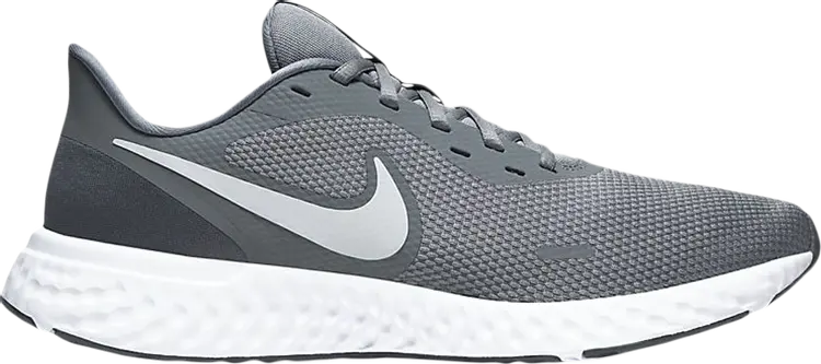 

Кроссовки Nike Revolution 5 'Cool Grey', серый