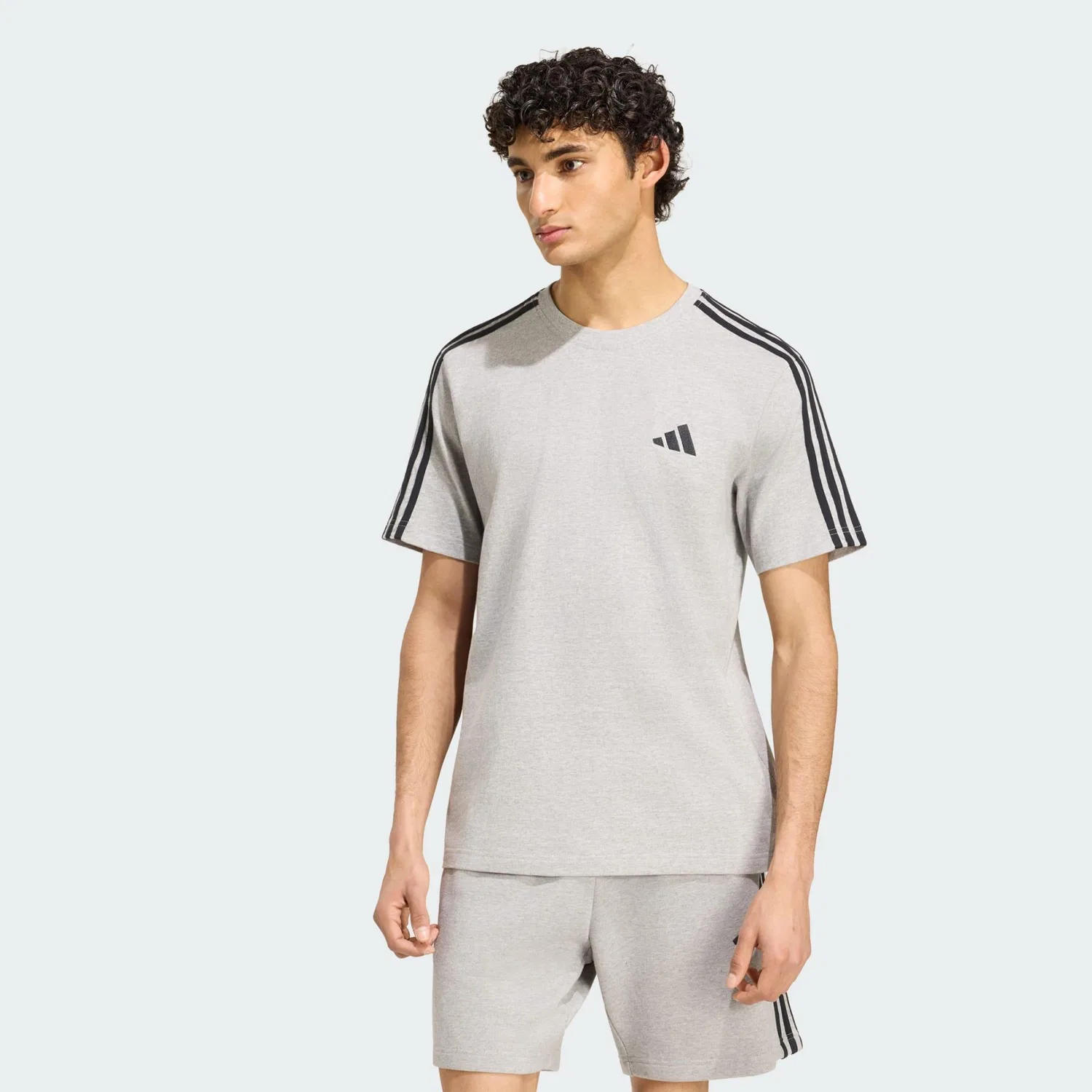 Мужская футболка с принтом Essentials 3-Streifen Adidas, Grau Weiss