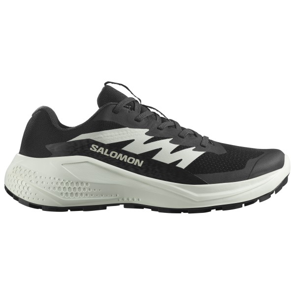 

Женские кроссовки Alphaglide для трейлраннинга Salomon, мультиколор