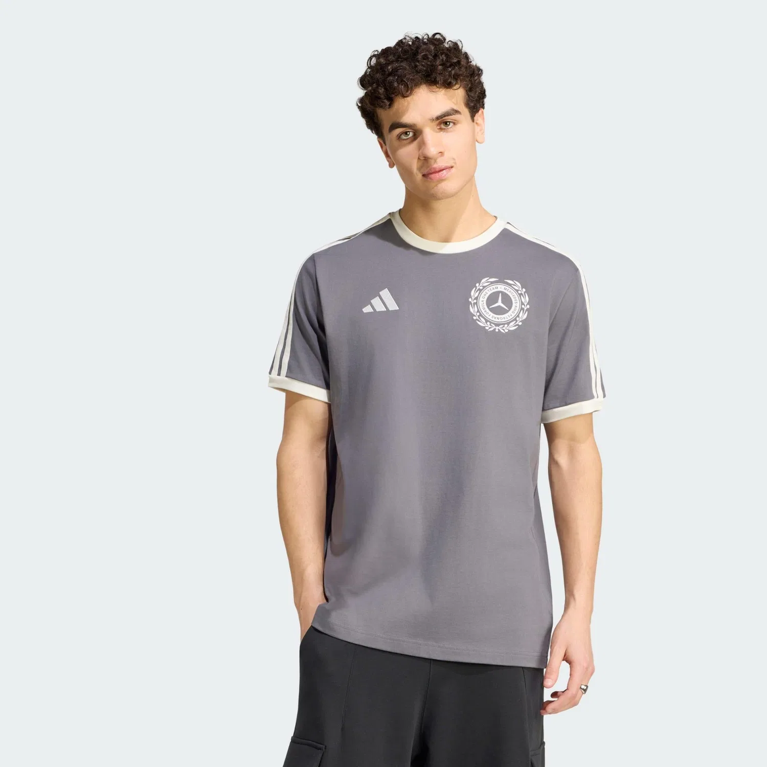 Мужская футболка с принтом Silver Arrows Icon Adidas, Grau Weiss — фото 2