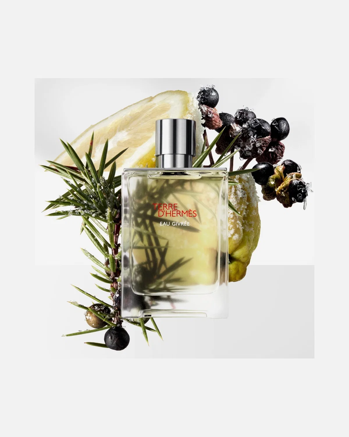Парфюмированная вода terre d'hermès eau givrée, 200 Ml — фото 3