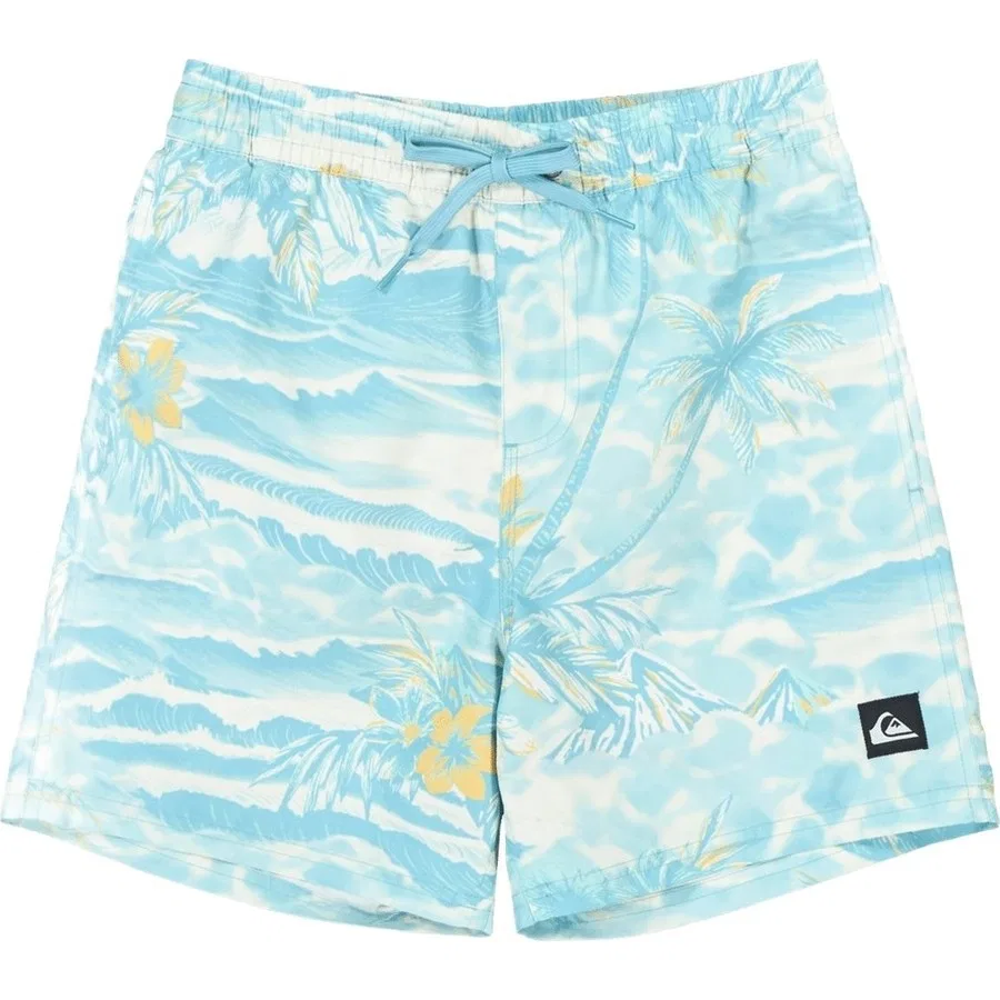 Плавки для мальчиков с принтом Quiksilver, Черный