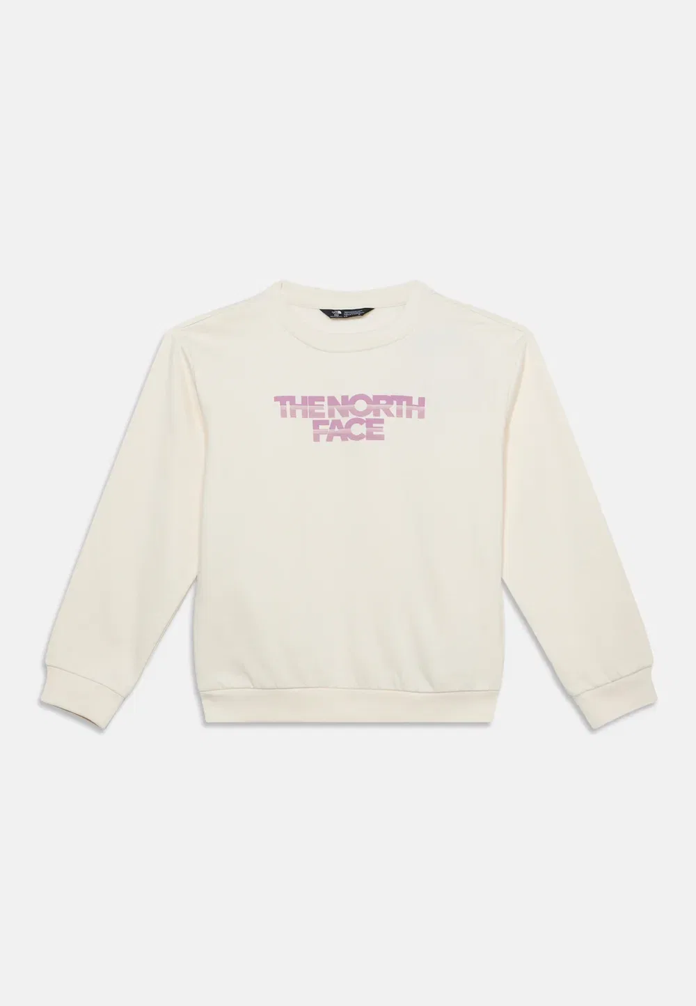 Трусы-Свитшоты Teen Chalbi Relaxed Crew с графическим принтом, унисекс The North Face, White Dune