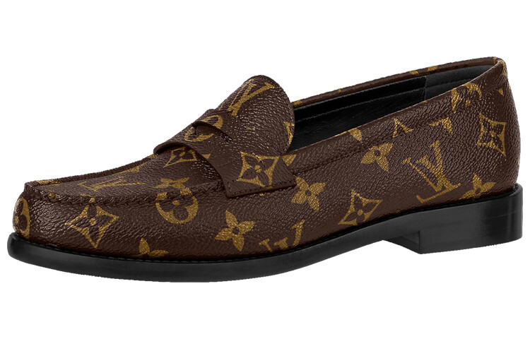 Туфли женские Louis Vuitton с принтом, коричневый