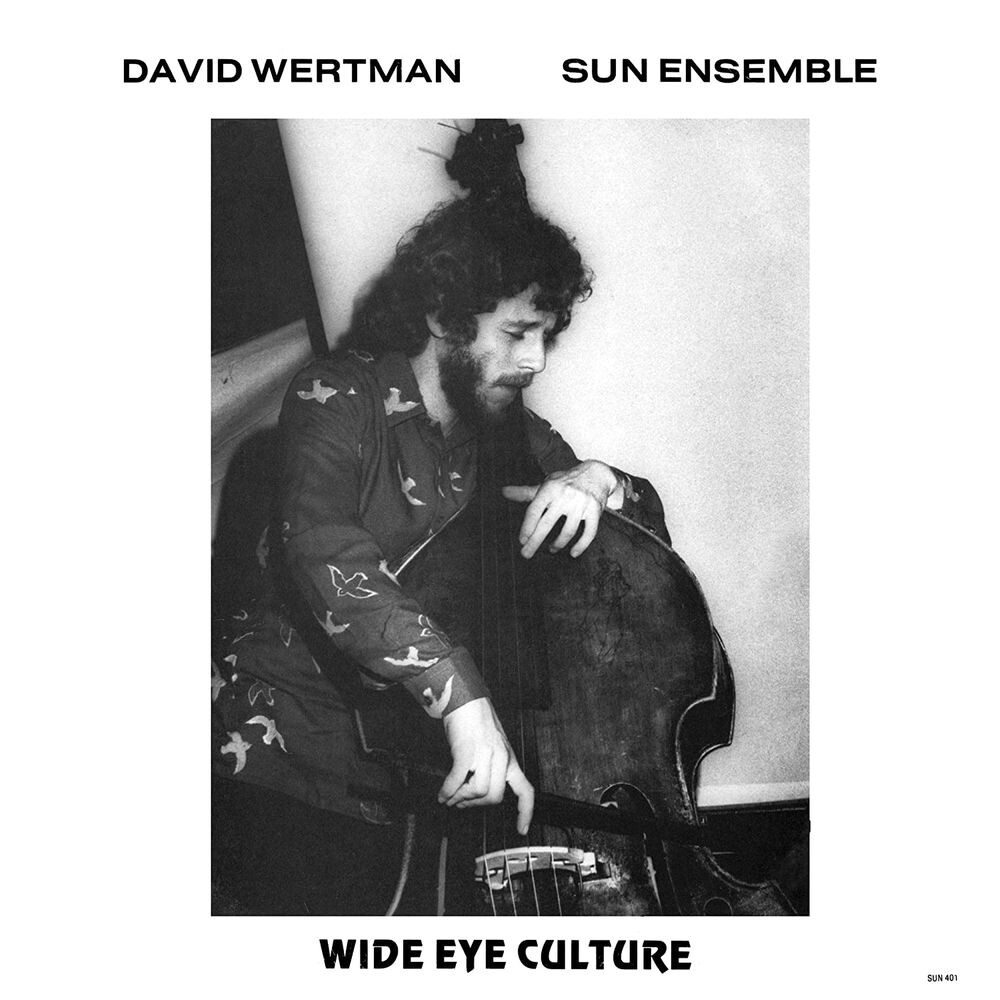 

Диск CD Wide Eye Culture - David Wertman