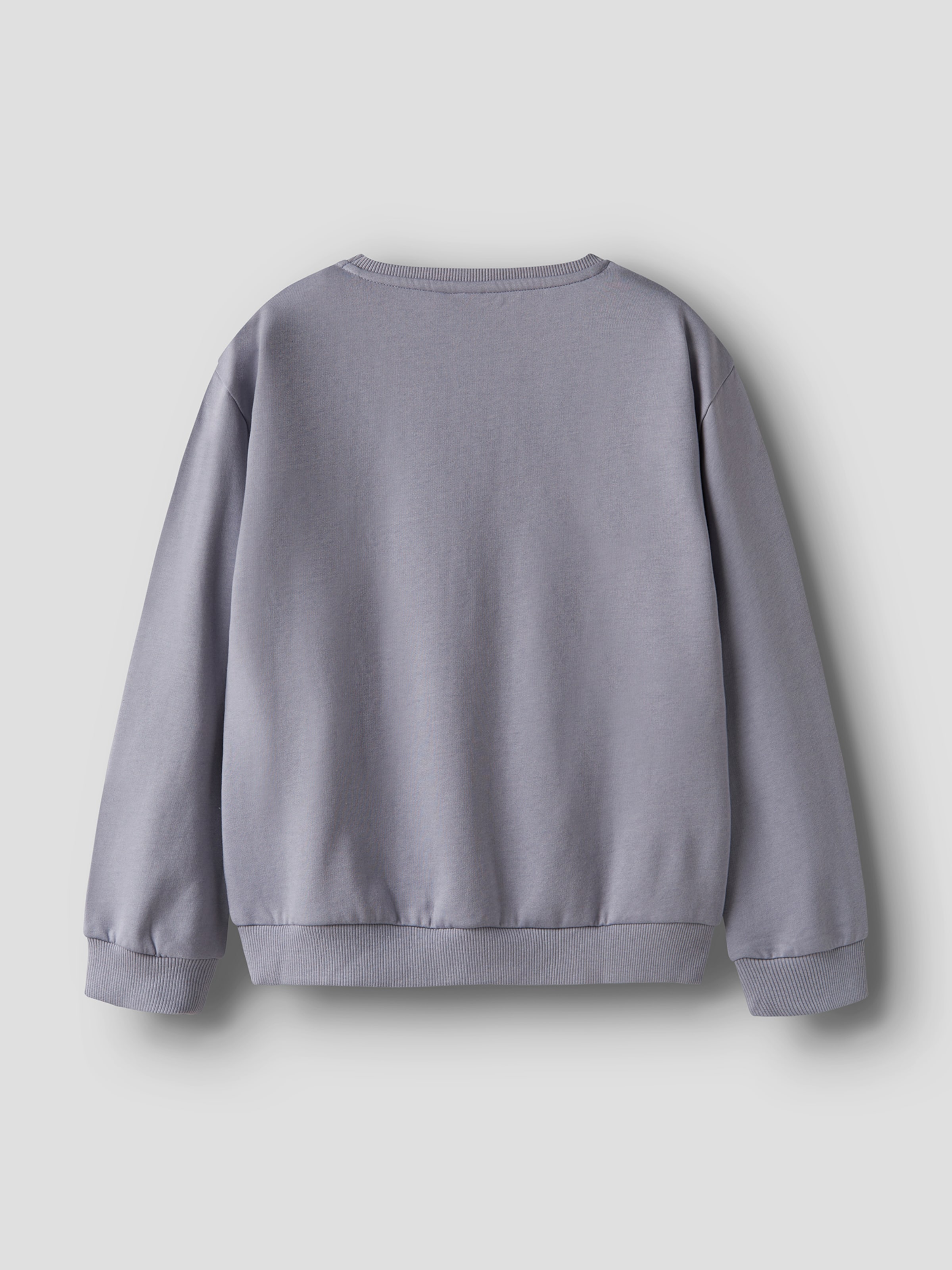 NAME IT Свитшот 'NKFJYD POKEMON' в цвете Mauve — фото 2