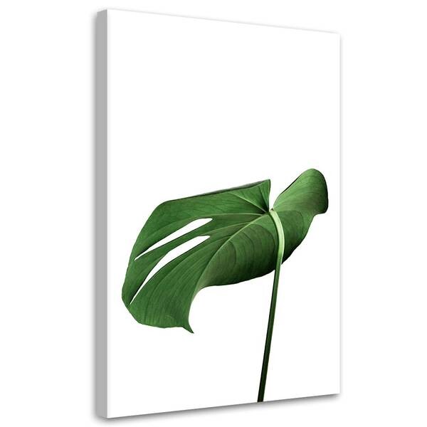 

Картина арт-принт KUNSTLOFT Monstera Leaves, зеленый