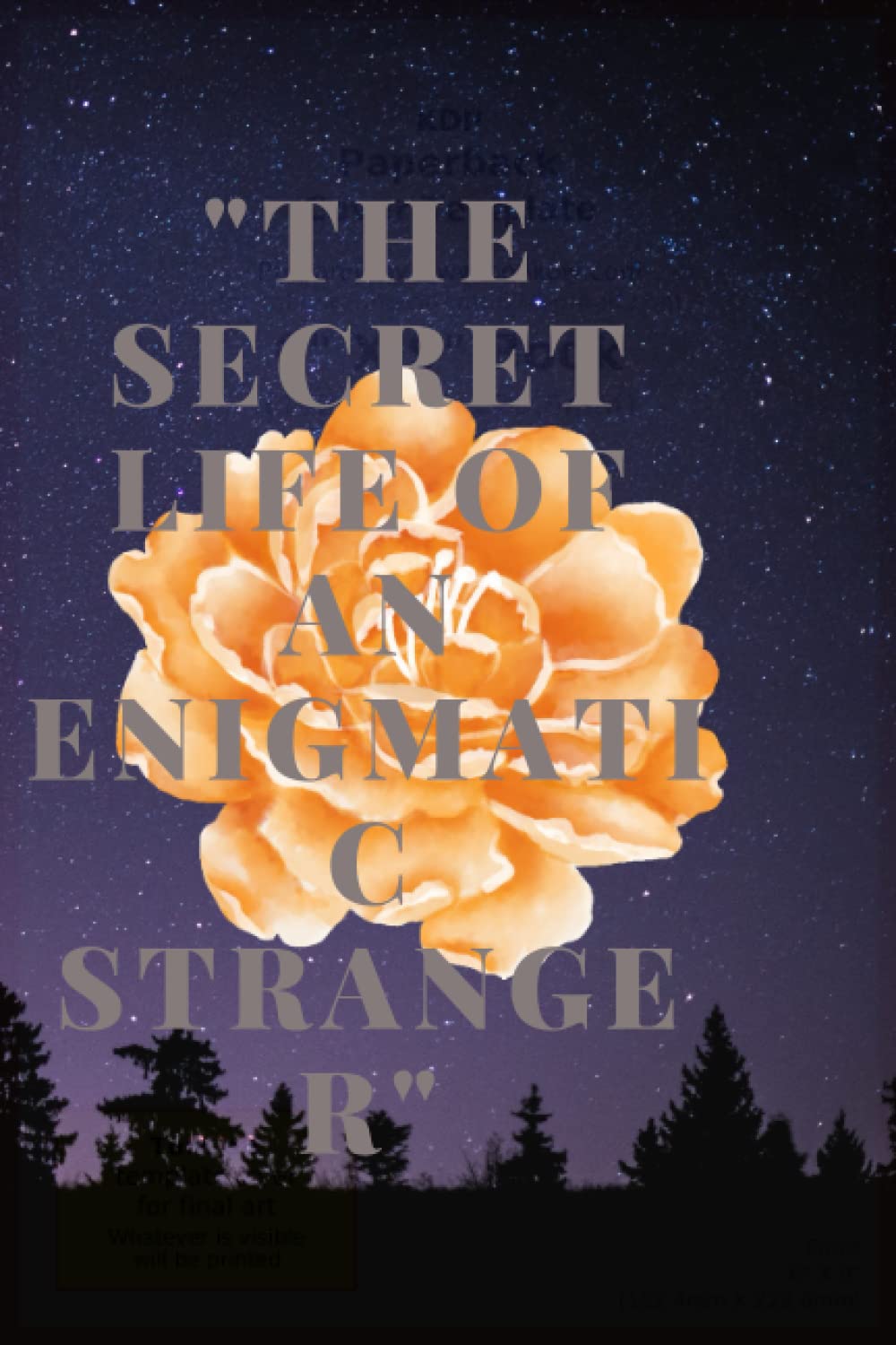 

"The Secret Life of An Enigmatic Stranger": Unlocking the Mysteries of an Enigmatic Figure in a Small Town (Independently published)