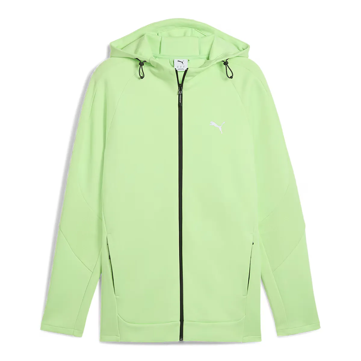 

Мужская толстовка с капюшоном Evostripe на молнии DK Puma Sweatsty, зеленый