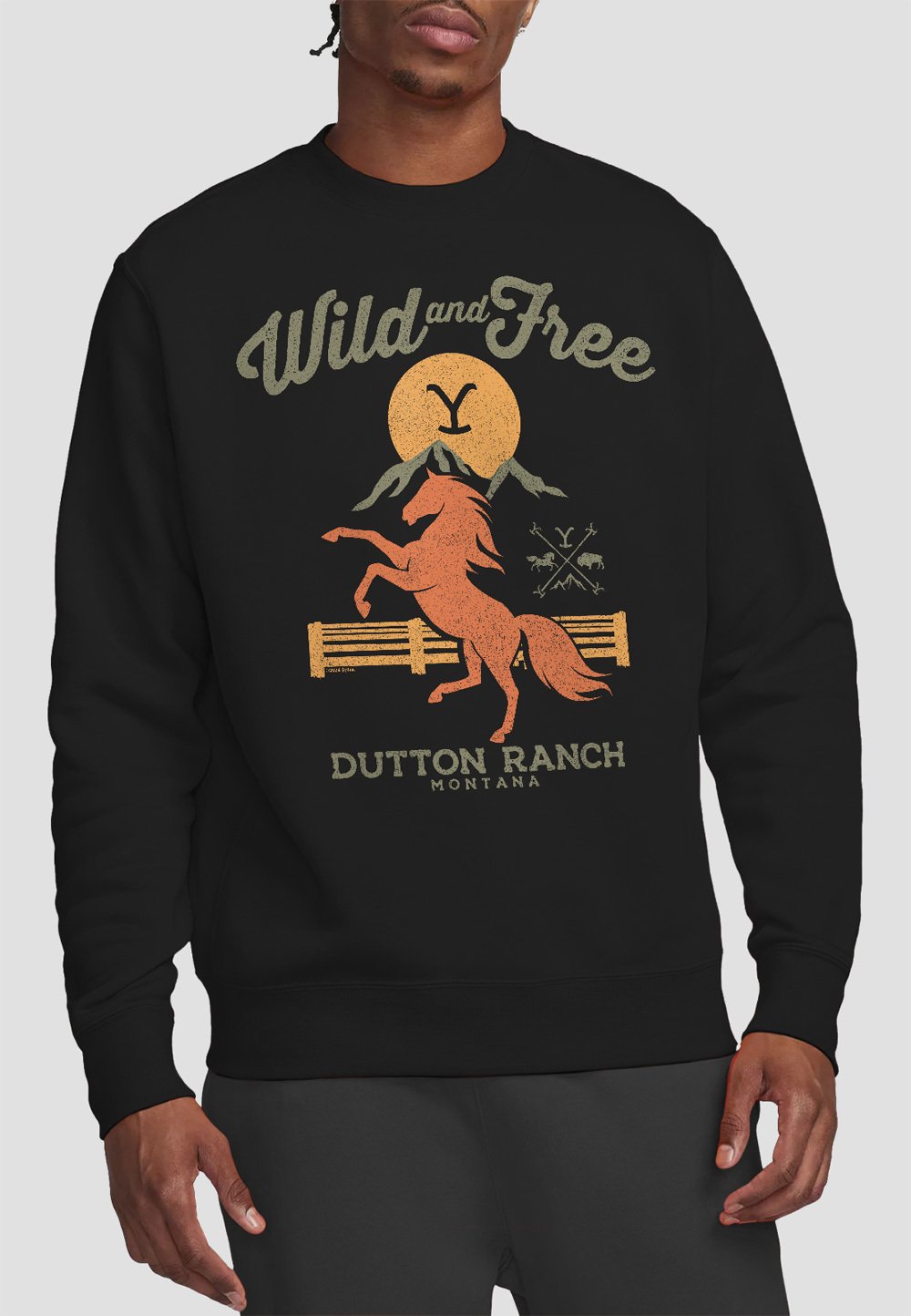 

Толстовка YELLOWSTONE WILD AND FREE Cotton Soul, черный