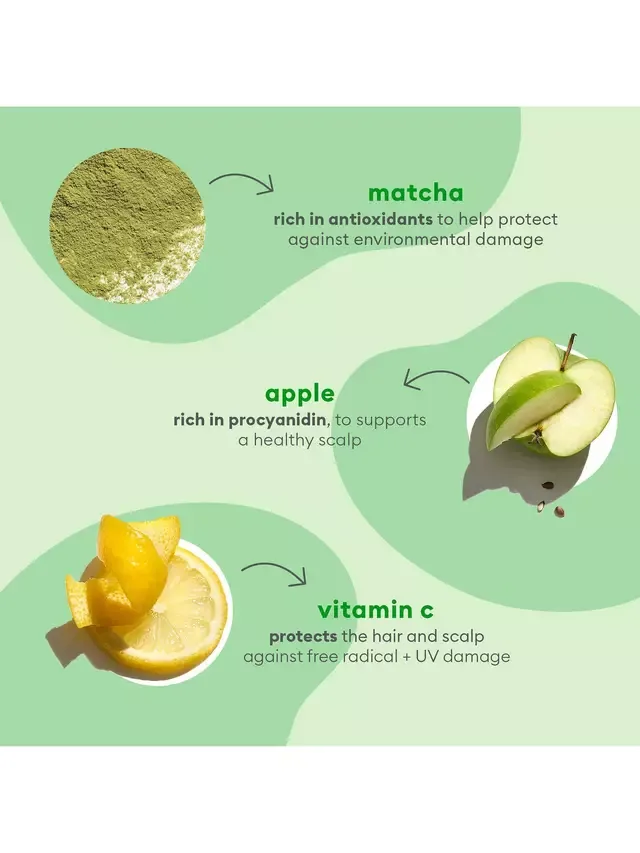 Восстанавливающий шампунь Superfoods Matcha + Apple, 369 мл Briogeo — фото 4