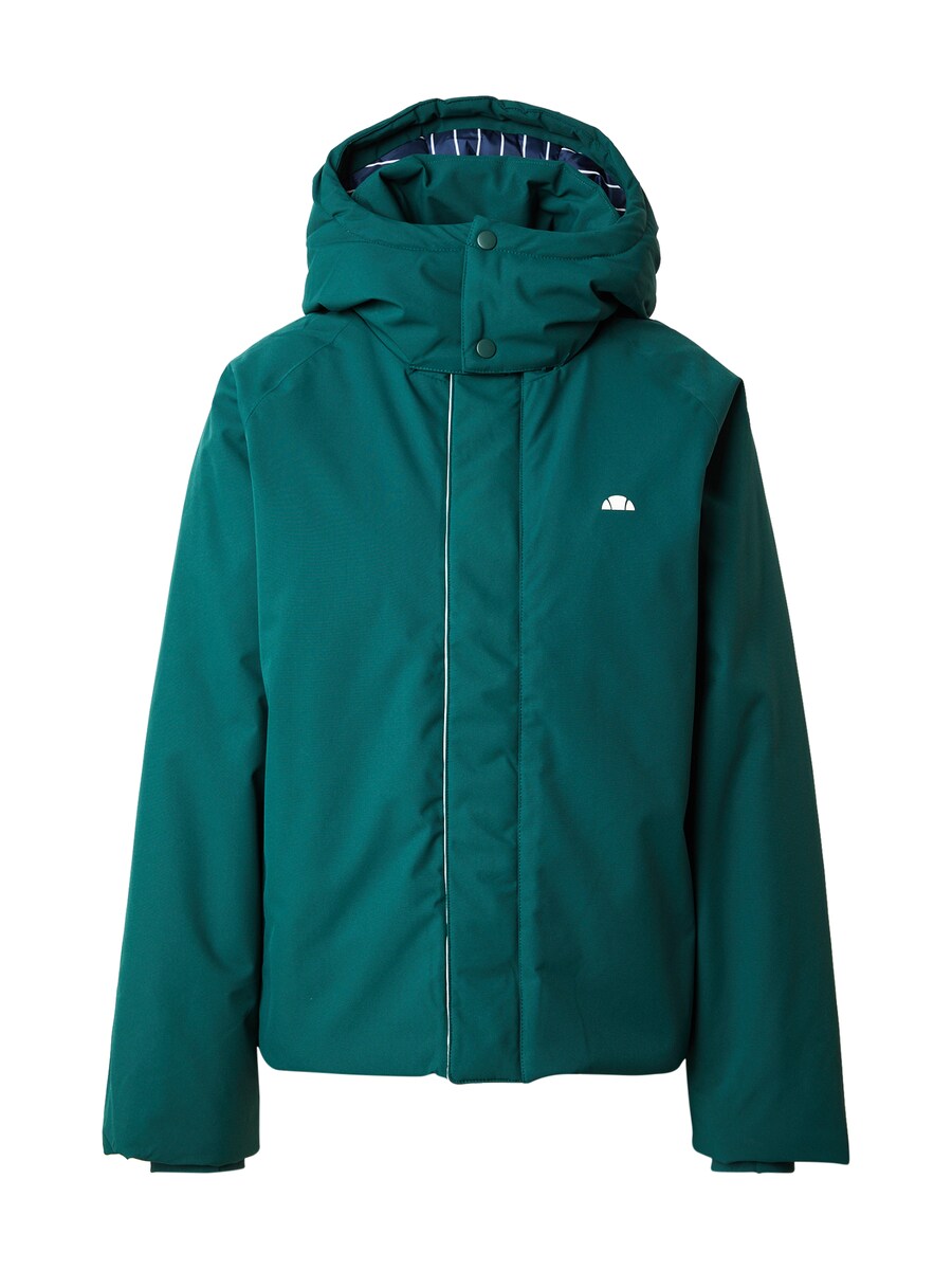 

Зимняя куртка ELLESSE Zenira, Dark green