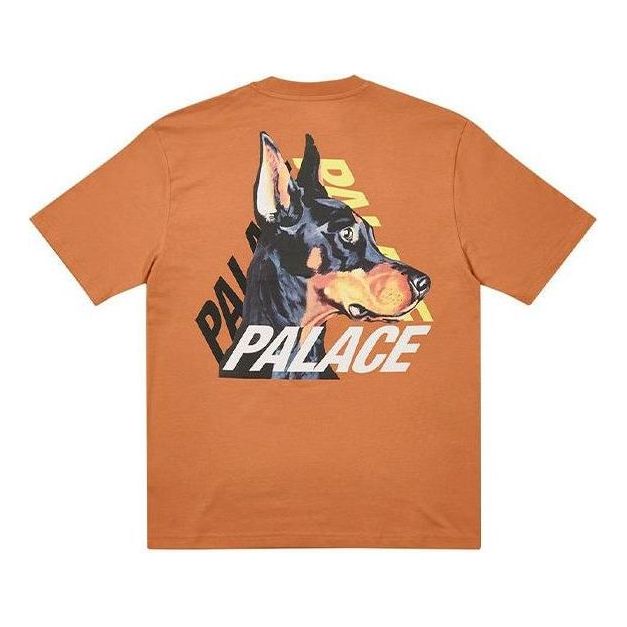 

Футболка Palace P-3-K-9 T-Shirt 'Caramel', коричневый