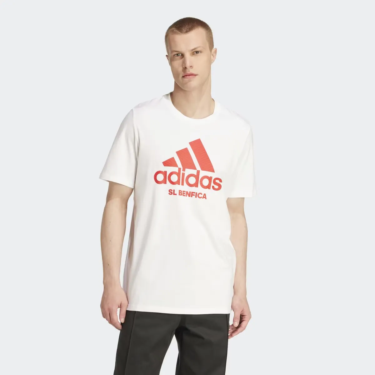 

Мужская футболка Benfica Lisbon Seasonal с графическим принтом adidas, белый