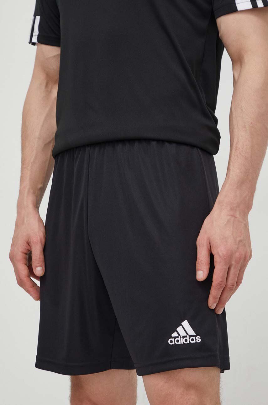 

Тренировочные шорты Entrada 22 H57504 adidas Performance, черный