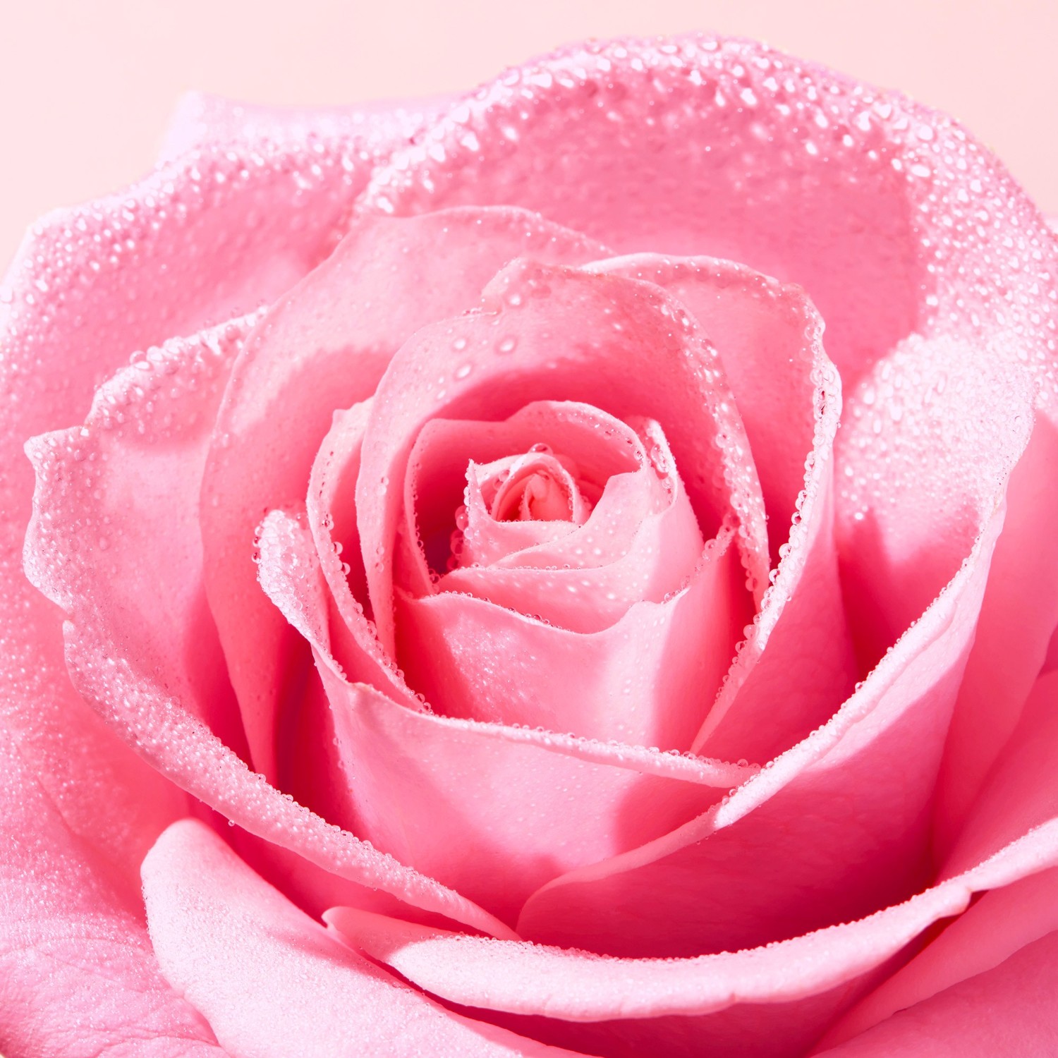 Гидрофильное масло Nuxe — Very rose delicate cleansing oil , объем, 150 мл — фото 4