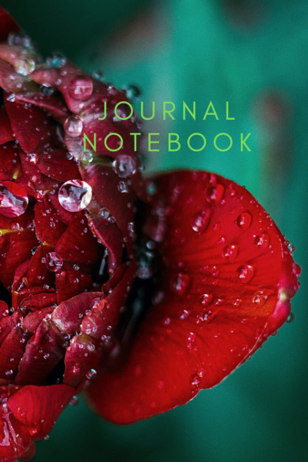 

journal notebook: journal flower notebook 6x 9 size and 120 pages (Independently published)