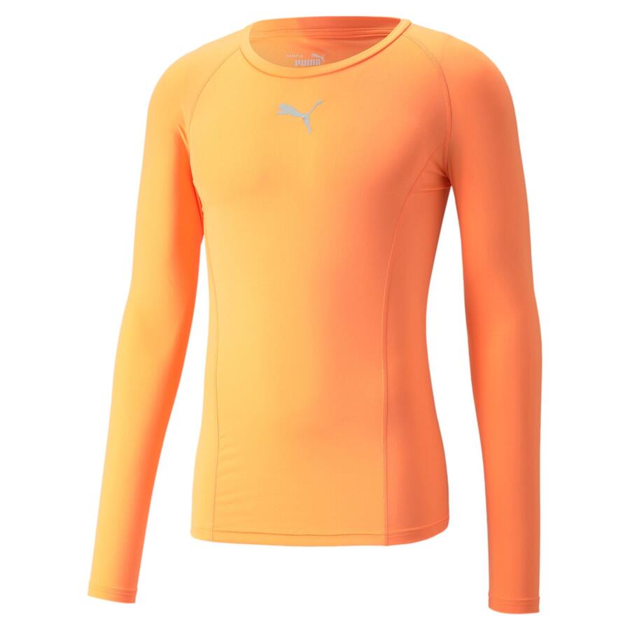 

Мужская компрессионная футболка Puma Liga Baselayer Tee LS 655920