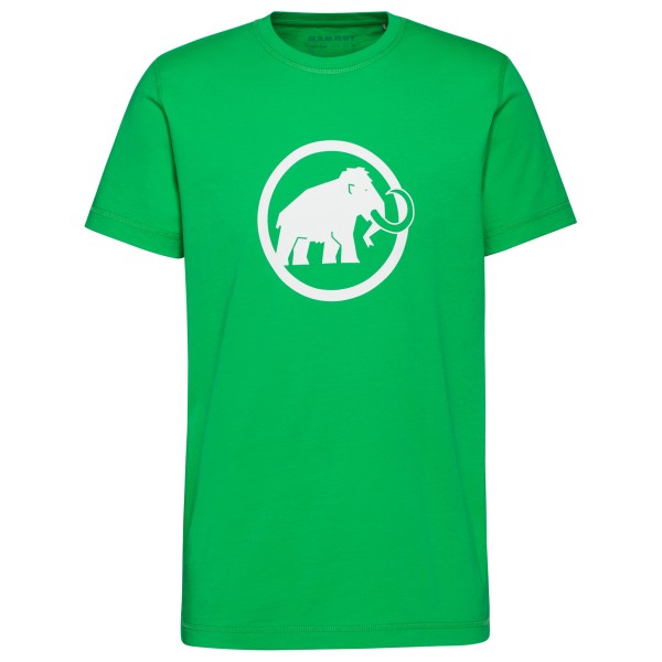 

Футболка Mammut Core классическая - футболка Mammut, Pinea