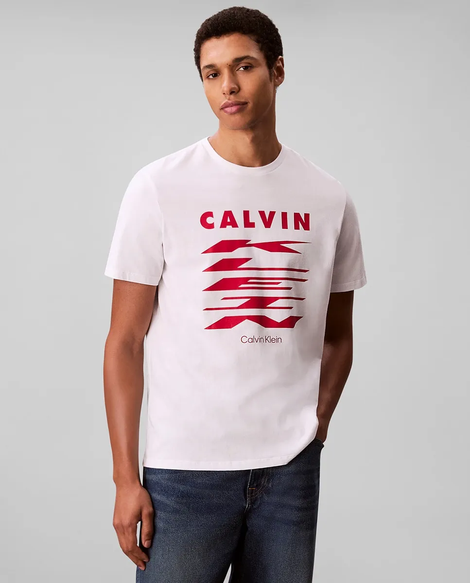 

Футболка мужская с графикой Calvin Klein Jeans, белый