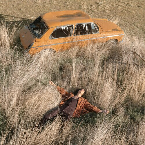 

Виниловая пластинка Rothman, Lawrence: The Plow That Broke The Plains