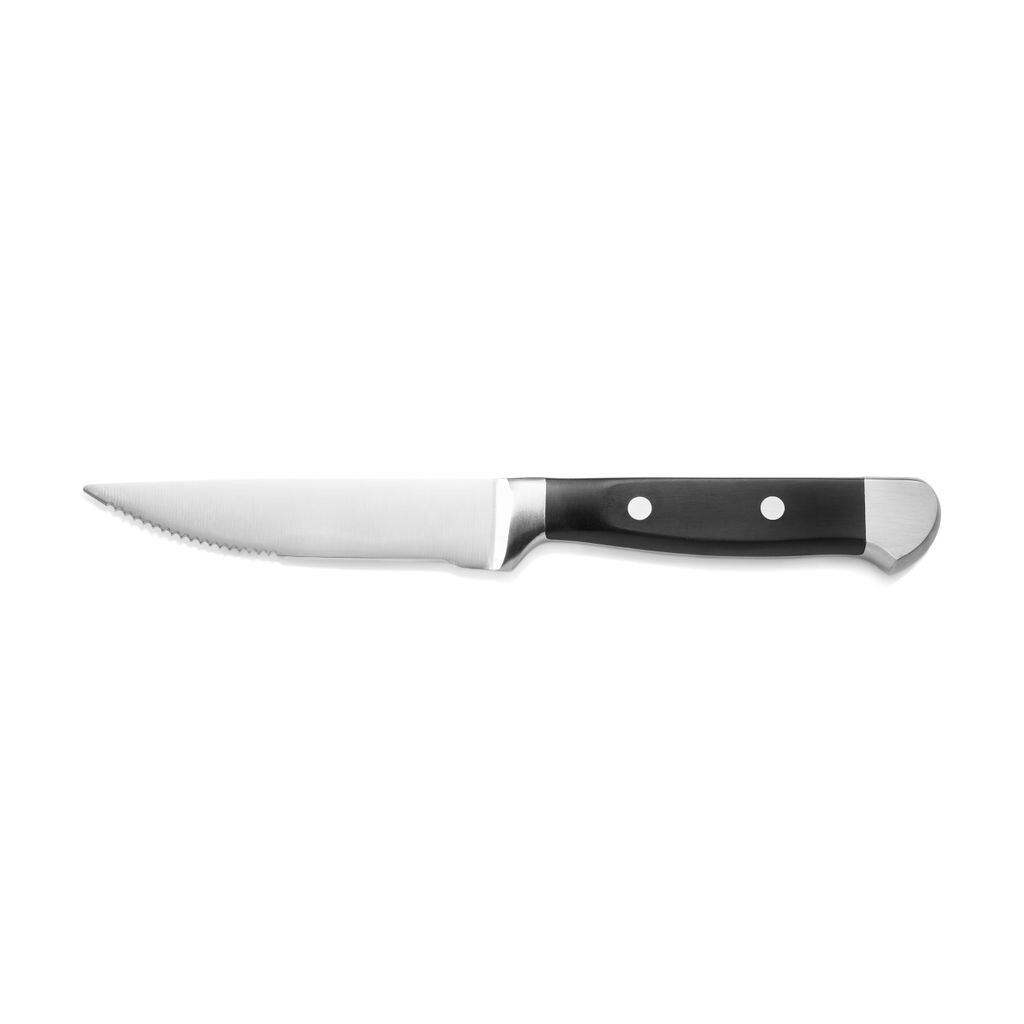 

Нож для стейка с пластиковой ручкой из ПОМ, 25,8 см, WAS Germany