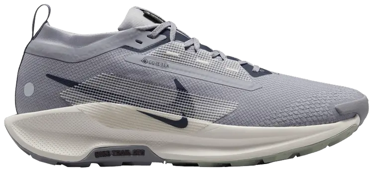 

Кроссовки Nike Pegasus Trail 5 GORE-TEX 'Cement Grey Midnight Navy', серый