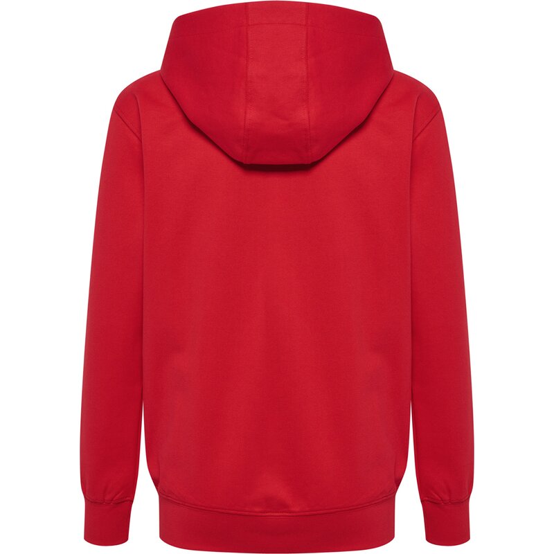 Детская толстовка с логотипом Kapuzensweat hmlgo 2.0 Hummel, красный — фото 2