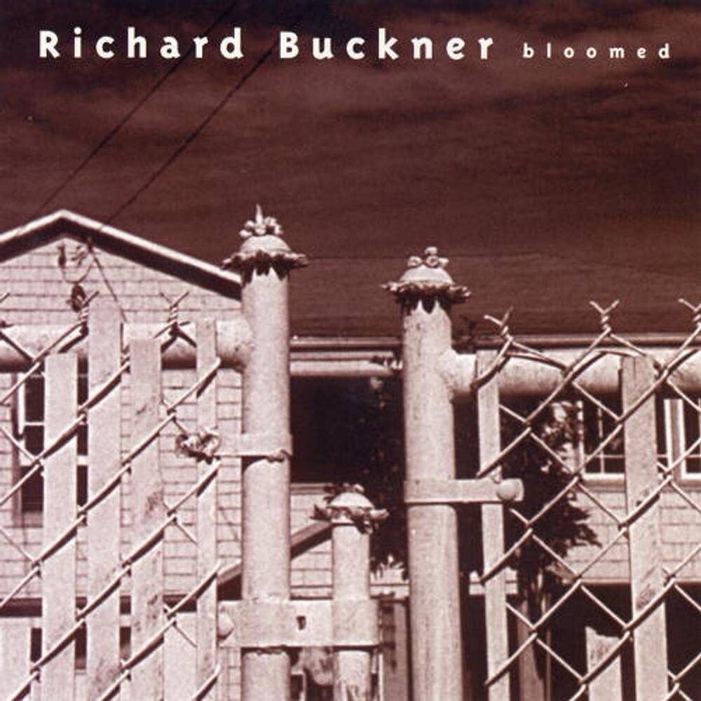 

Виниловая пластинка LP Bloomed [180 Gram Vinyl] - Richard Buckner
