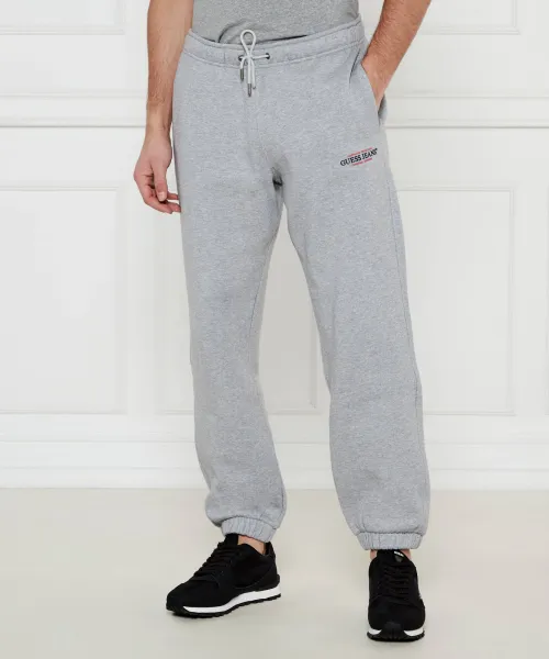 

Спортивные штаны Regular fit Guess Jeans, серый