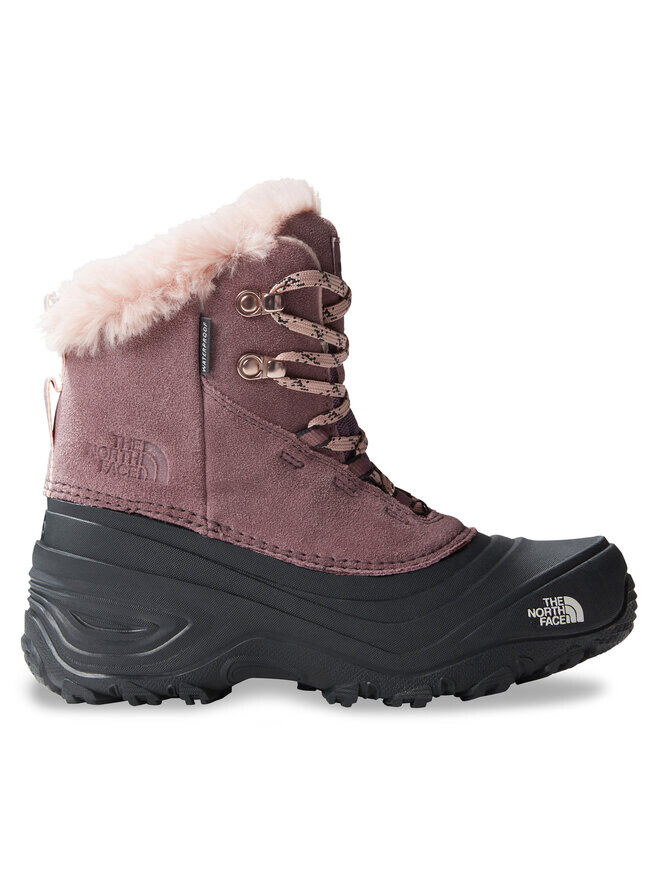 

Снегоступы Y Shellista V Lace The North Face, серый