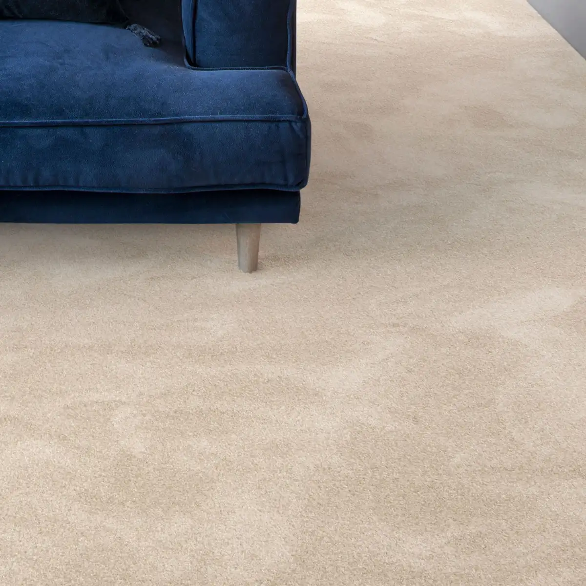 

Ковер Andiamo "Велюр Левин", прямоугольный, однотонный, ширина 400см или 500см, мягкий, износостойкий 500х800 см, светло-бежевый