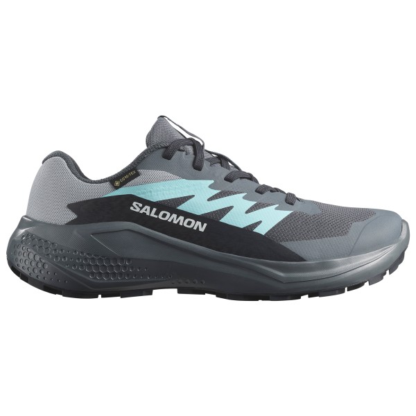 

Женские кроссовки Alphaglide Gore-Tex для бега по пересеченной местности Salomon, мультиколор