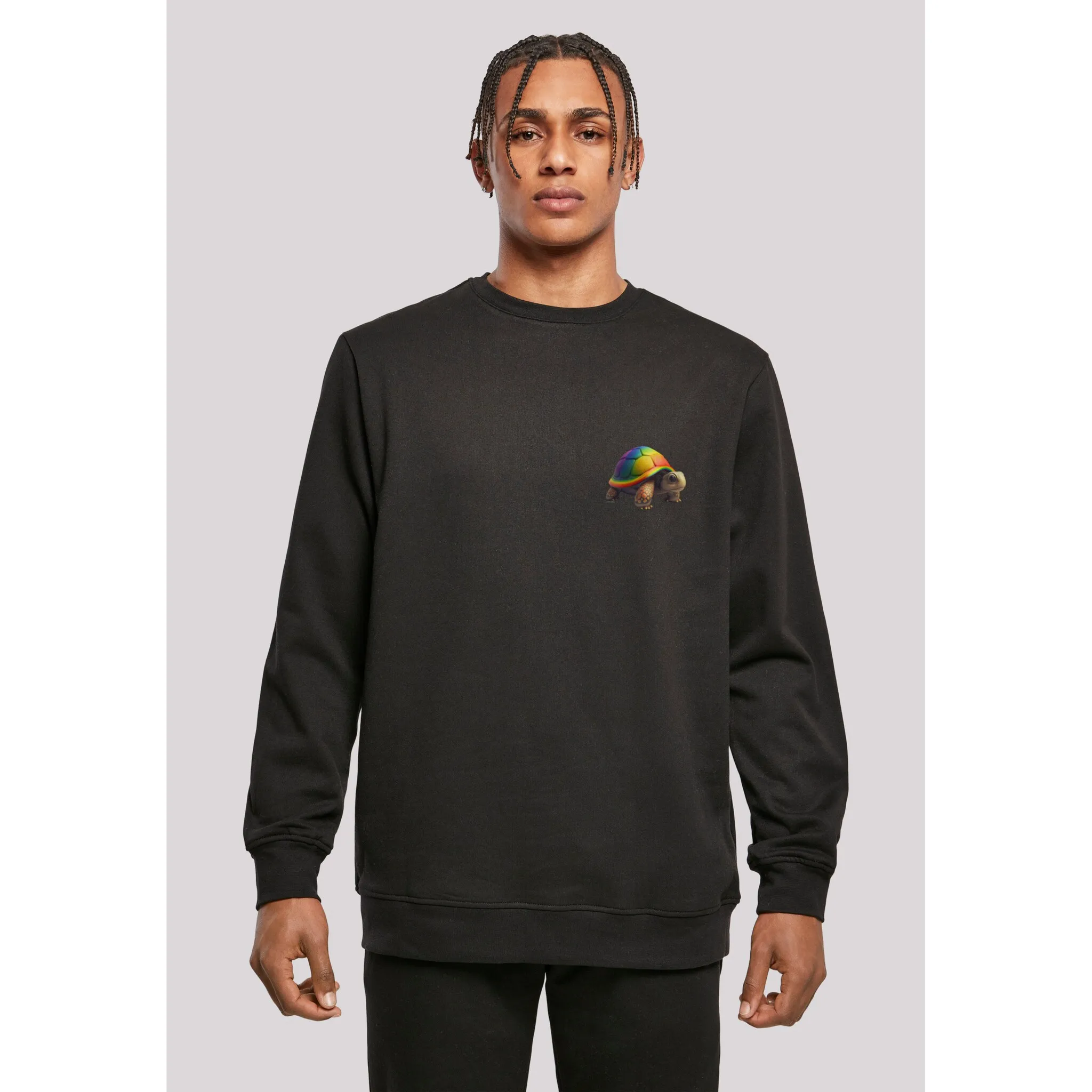 

Толстовка F4NT4STIC "Rainbow Turtle CREWNECK", принт, черный