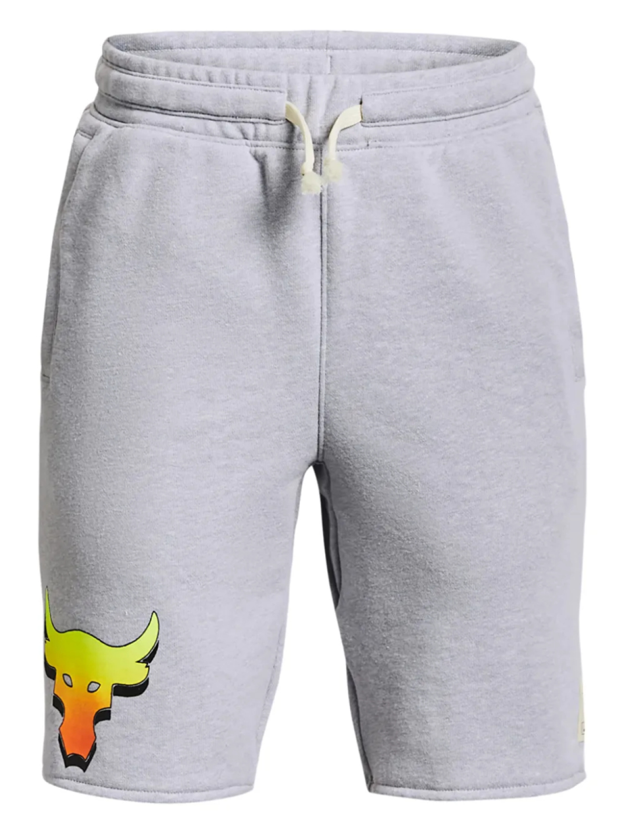 

Шорты Under Armour UA Project Rock Terry, серый