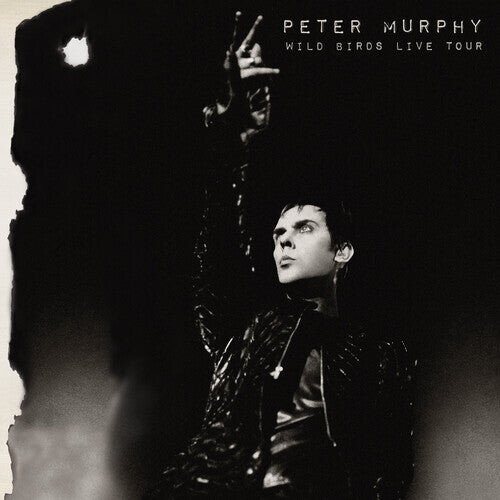 

Виниловая пластинка Murphy, Peter: Wild Birds Live Tour (purple & Black)