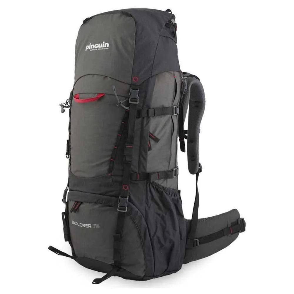

Рюкзак Pinguin Explorer 75L, серый