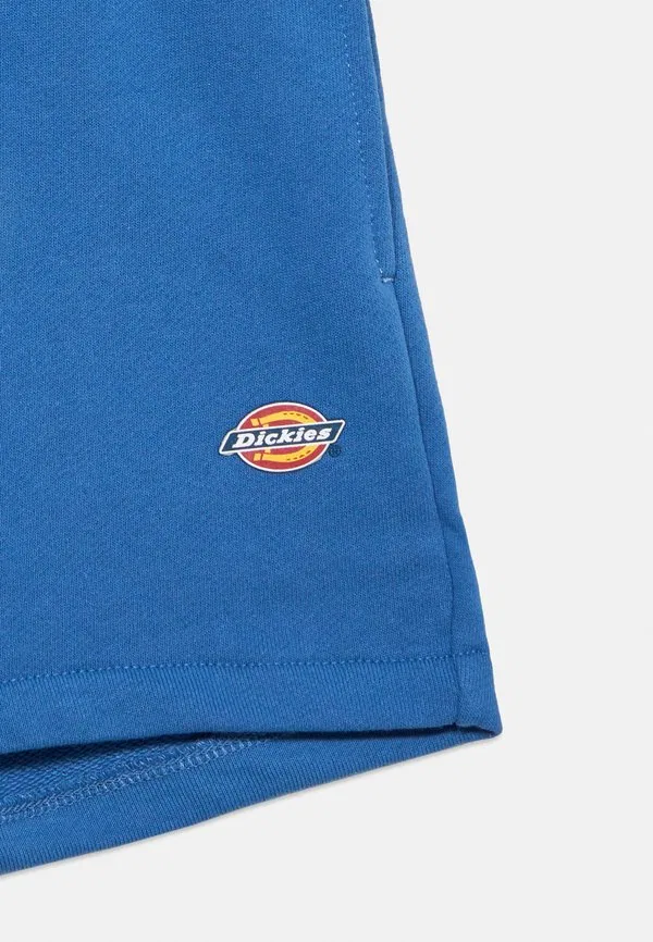 Детские шорты mapleton Dickies, Delft — фото 4