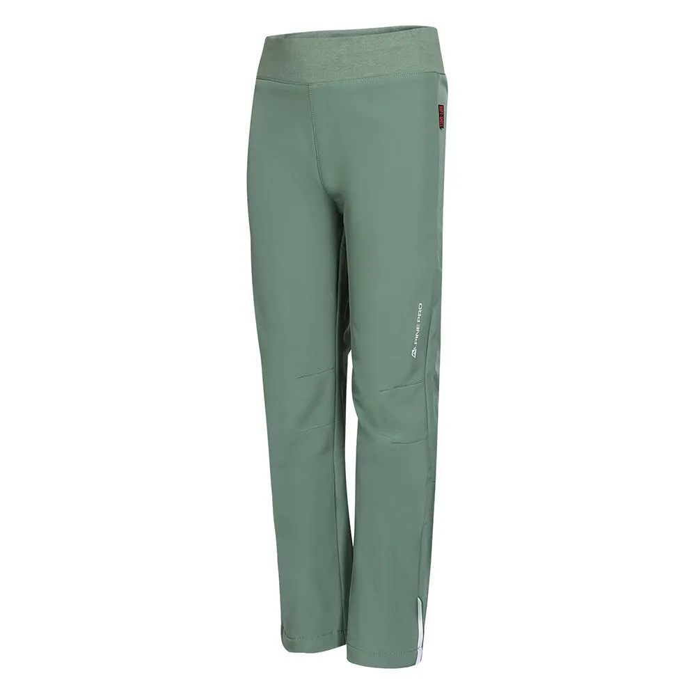 

Брюки Alpine Pro KPAB270, зеленый