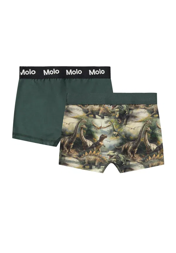 Трусы с принтом динозавры Justin 2 pack, Molo, Dino Harmony — фото 2