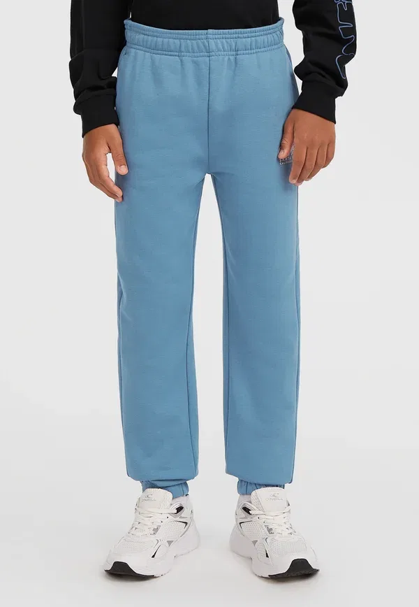 Брюки хлопковые Essentials jogging O'Neill, Mozart Blue, синий — фото 2