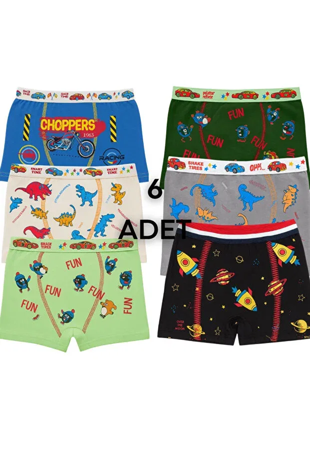 Детские боксеры для мальчиков хлопковые 6-штучный набор Basics Saraç Yıldız, Multicolor
