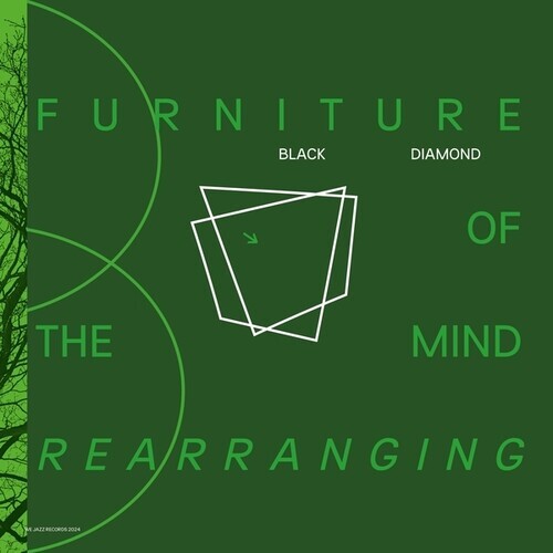 

Виниловая пластинка Black Diamond: Furniture Of Mind Rearranging