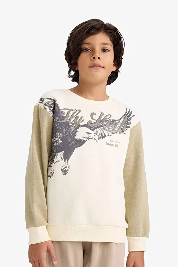Детские свитшот для мальчиков с принтом Crew Neck Printed Soft Fleece Inside Defacto, Khaki — фото 3
